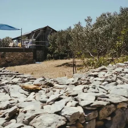 Holiday home Lovely Cottage With Sea Views In Selca Croatia Selca (Brac)